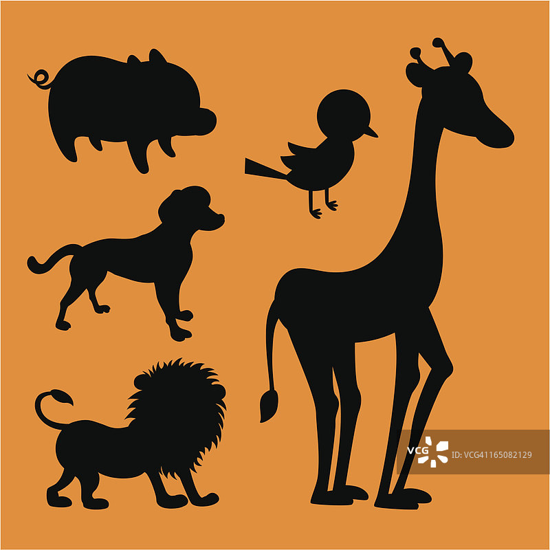 动物园动物图片素材