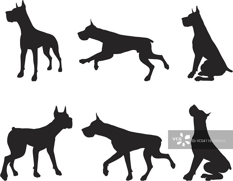 大丹犬剪影合集图片素材