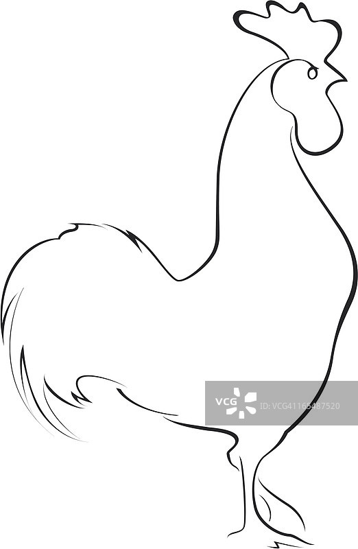 公鸡图片素材