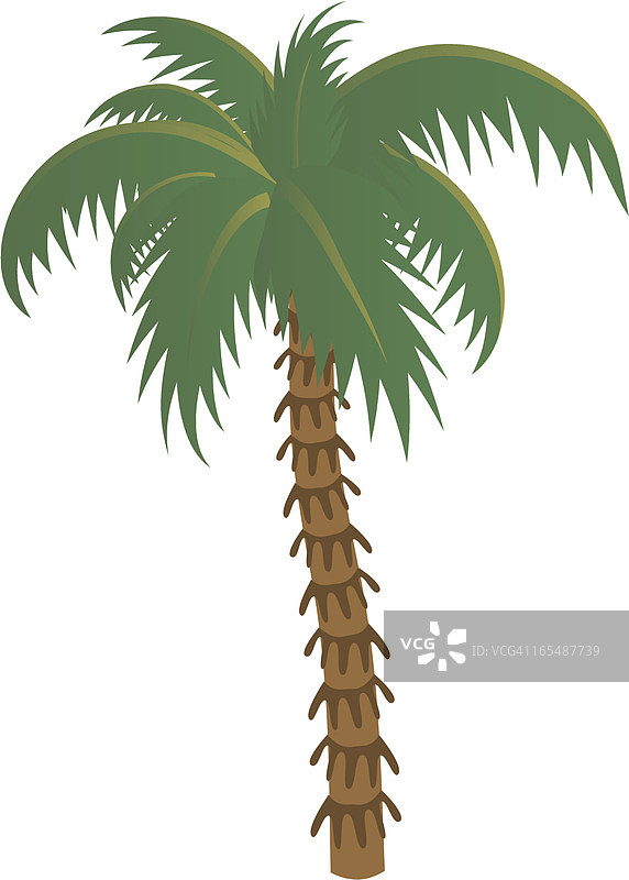 棕榈树时光图片素材