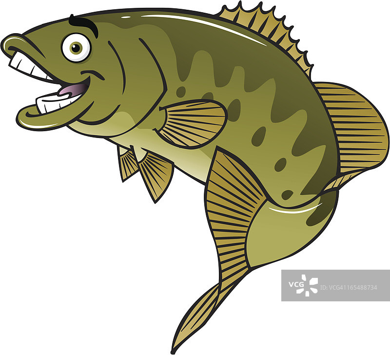 快乐的鲈鱼图片素材