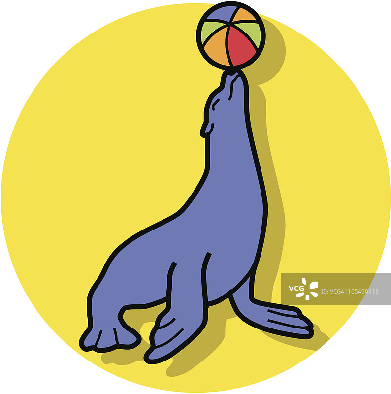 训练有素的海豹图片素材