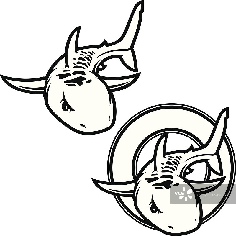 黑白虎鲨图片素材