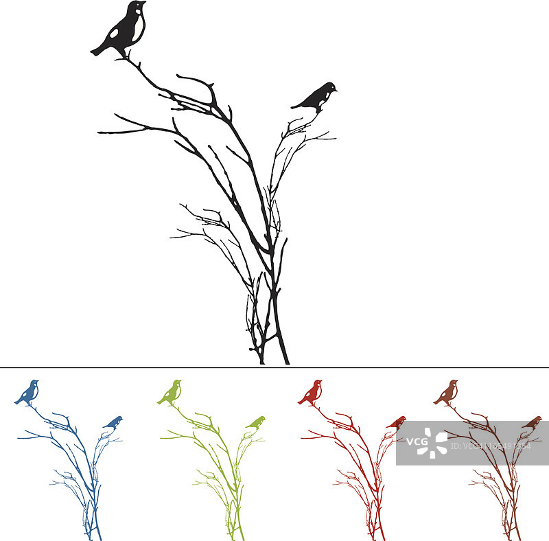 树枝上蓝鸟的轮廓图片素材