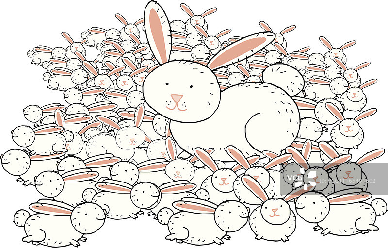 兔子图片素材