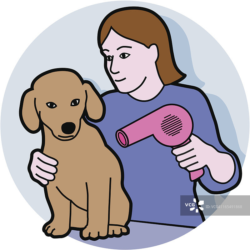 给小狗烘干图片素材