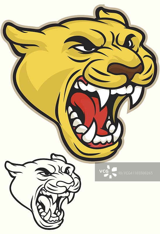 咆哮的美洲狮图片素材