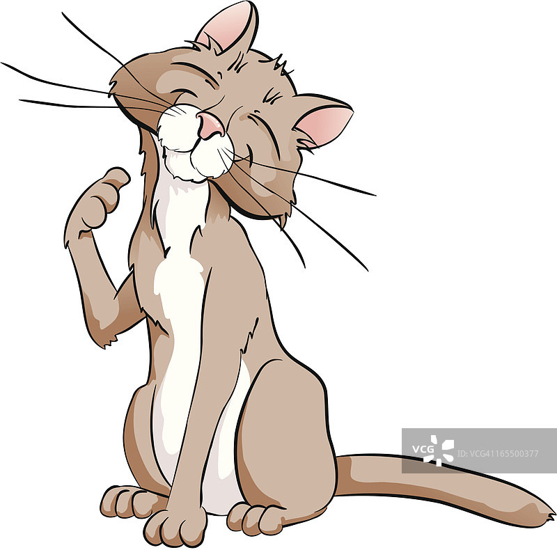 猫抓痕图片素材