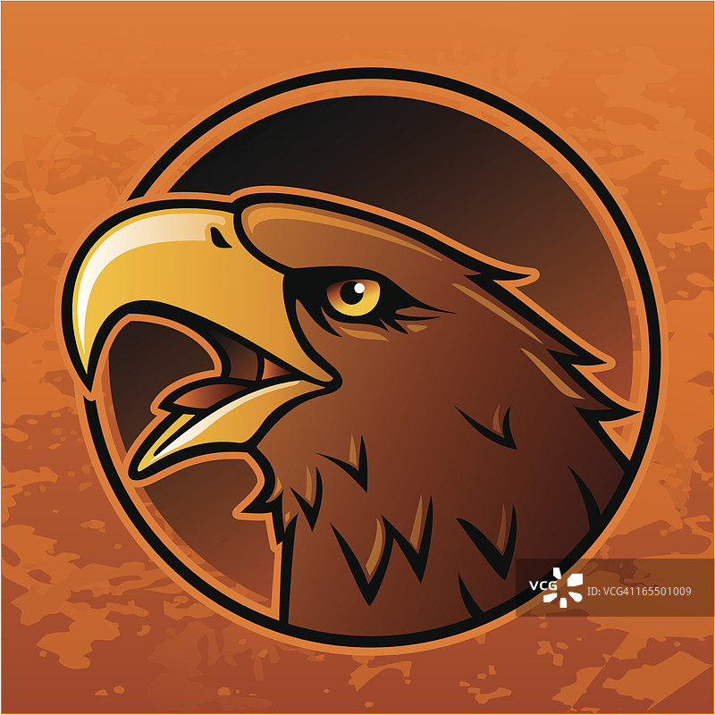 鹰头图片素材