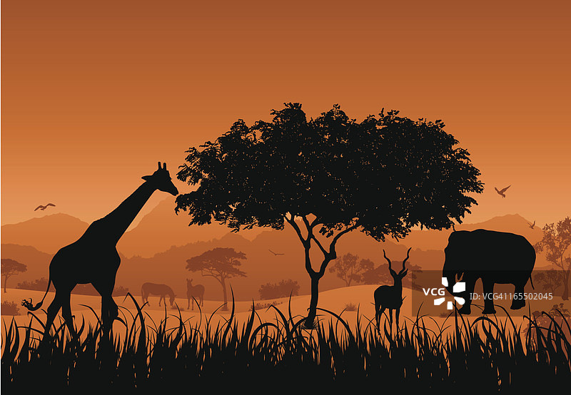 野生动物园场景图片素材