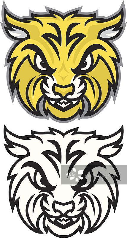 短尾猫头部图片素材