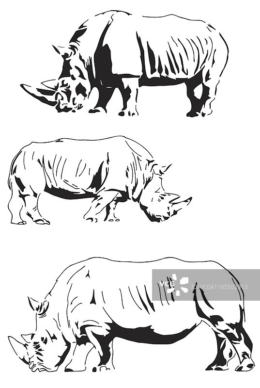 白犀牛剪影图片素材