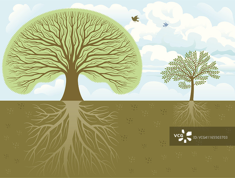两棵树图片素材