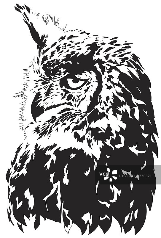 黑白雕鸮素描图片素材