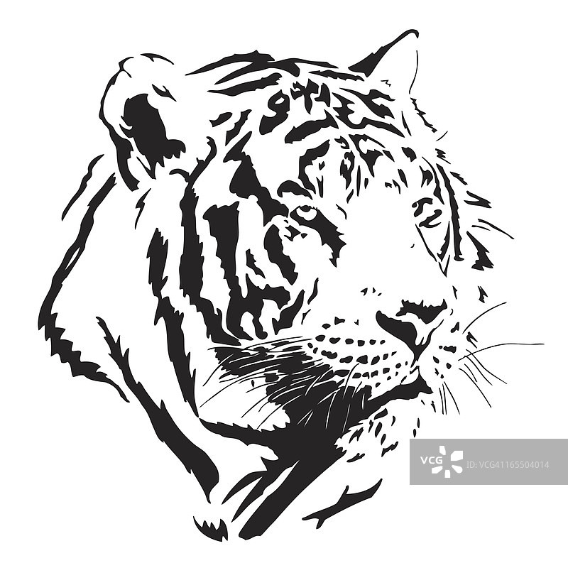 老虎矢量图图片素材