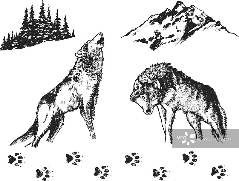 狼图形元素图片素材
