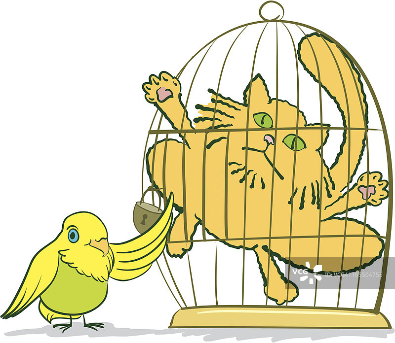 被抓住的猫图片素材