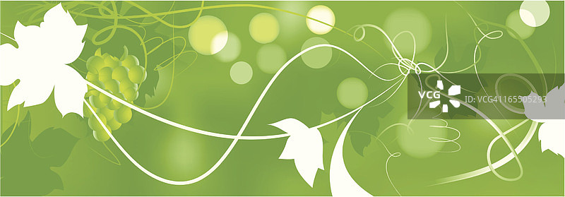 环境葡萄：banner图片素材
