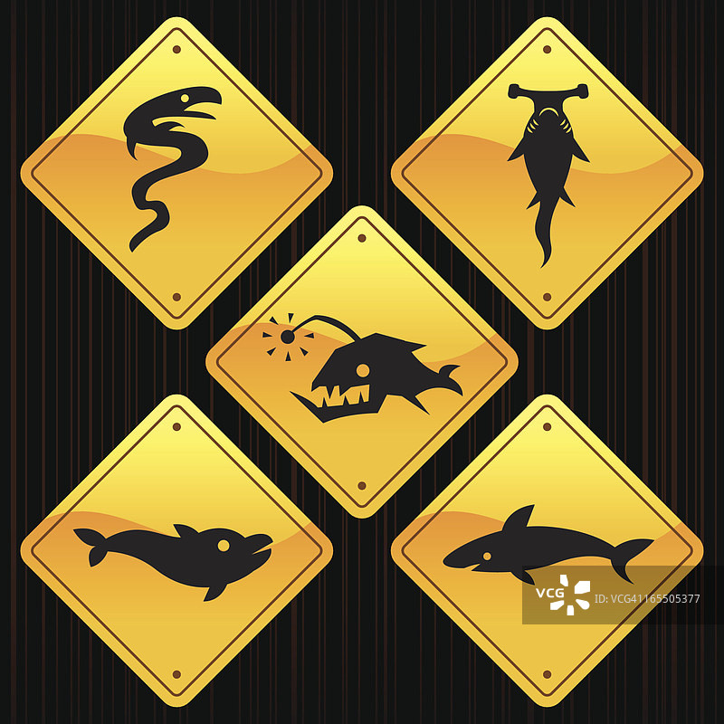 黄色标志 - 鱼类图片素材