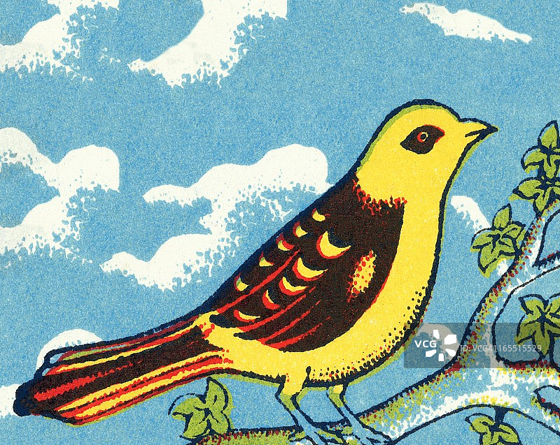 黄色的鸟图片素材