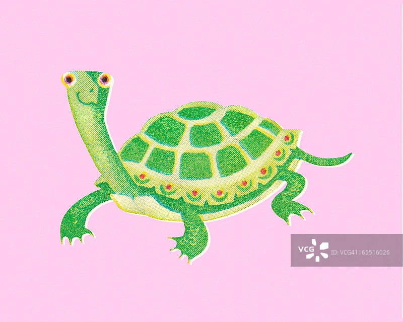 乌龟图片素材