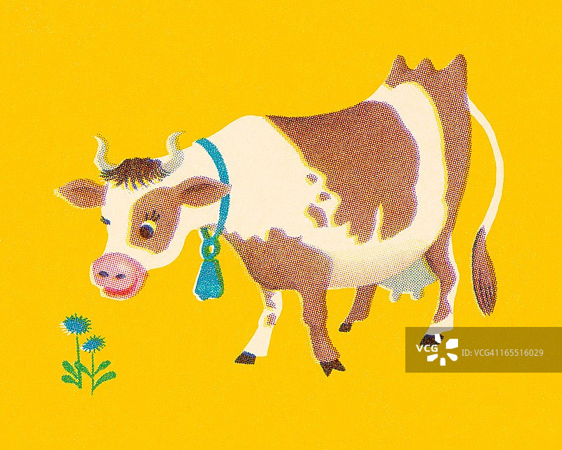 牛图片素材