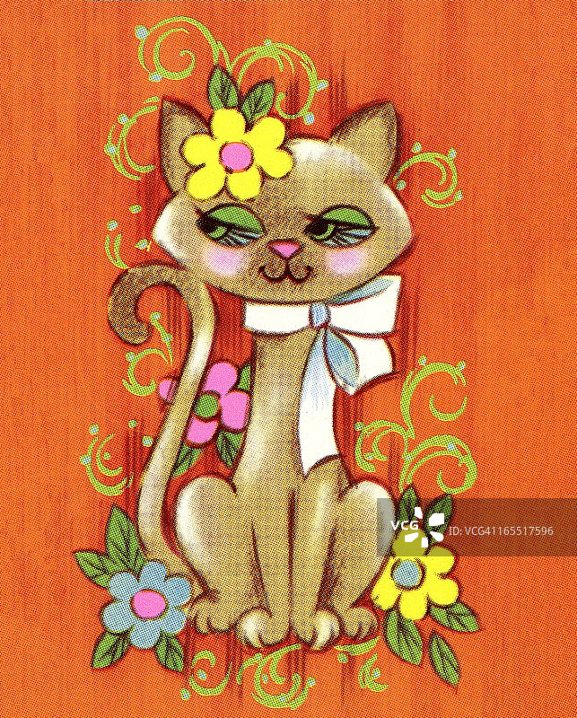 漂亮的猫图片素材