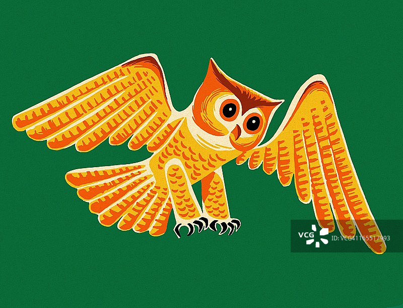 猫头鹰图片素材