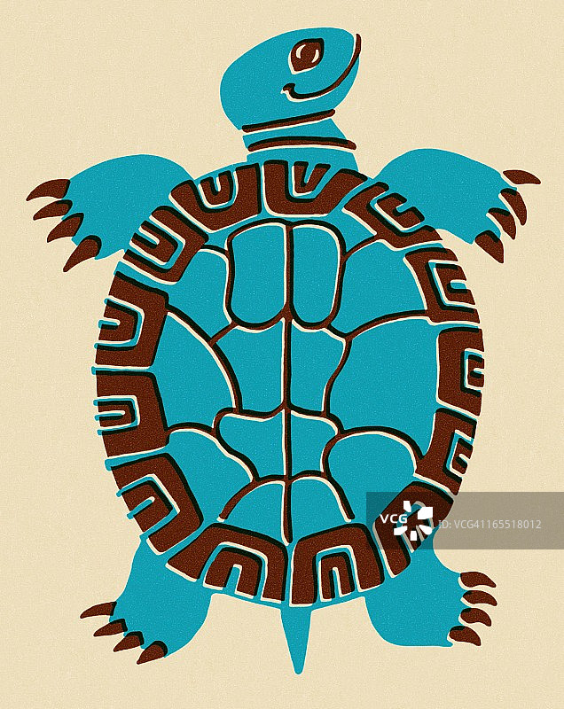 乌龟图片素材