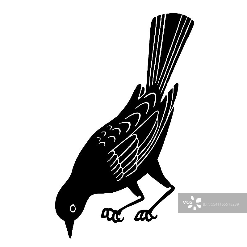 黑鸟图片素材