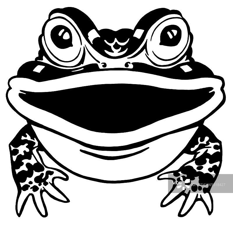 青蛙图片素材