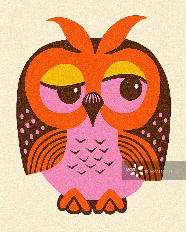 彩色猫头鹰图片素材
