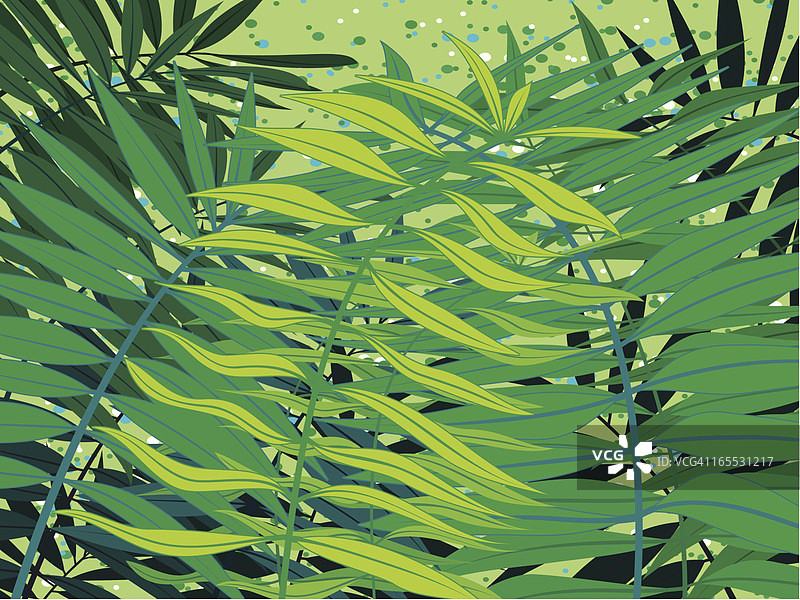 夏季树叶图片素材