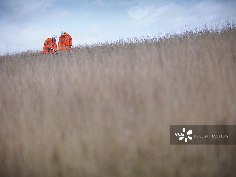 生态学家检查露天煤矿修复地植被图片素材