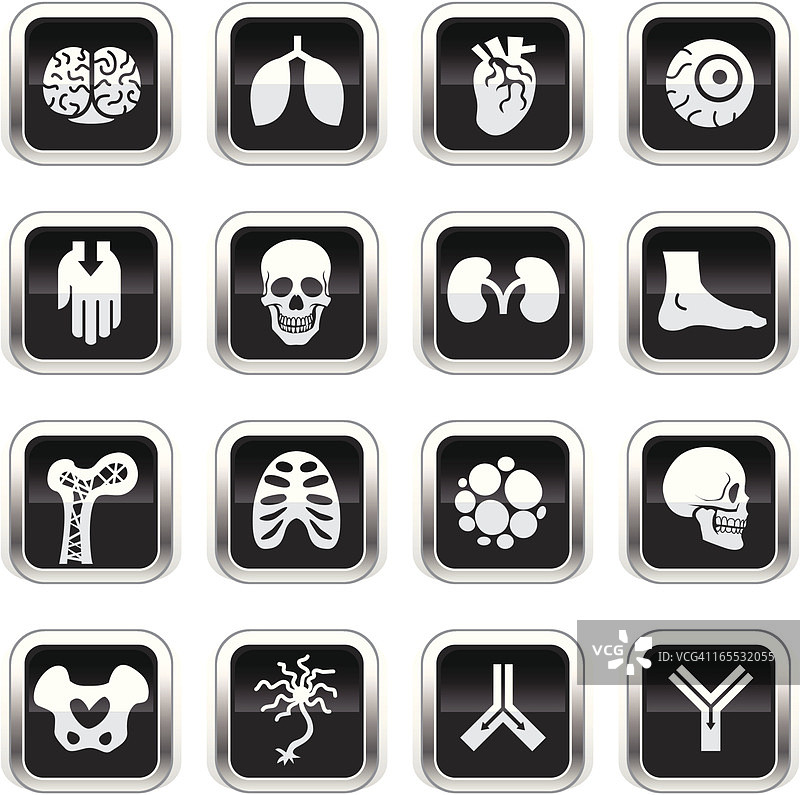 超光泽黑色图标 - 解剖学图片素材