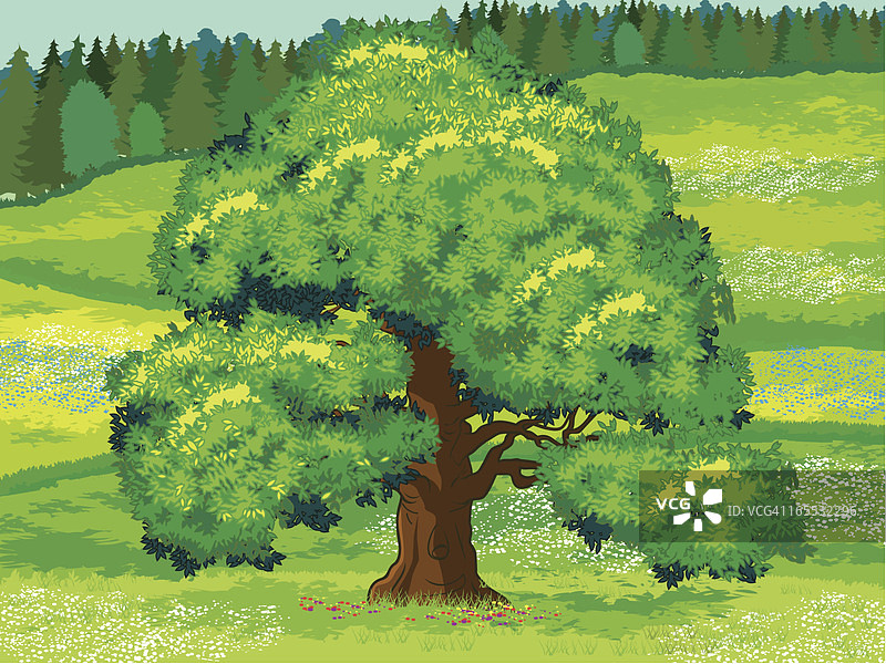 喜极而泣的树图片素材