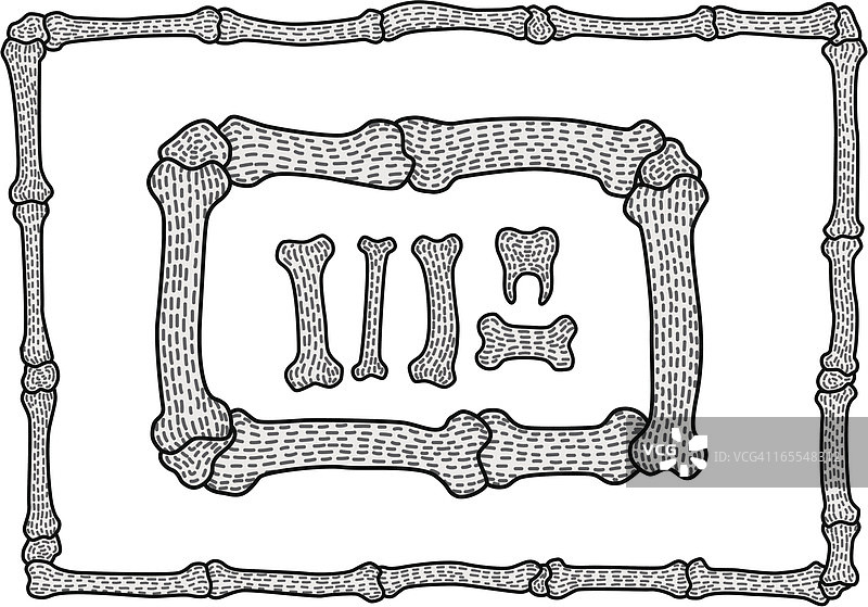 骨骼框架图片素材