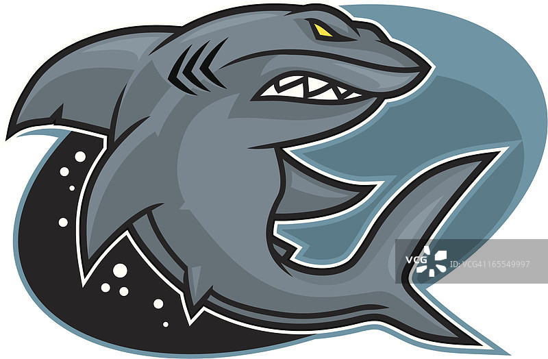 鲨鱼设计图片素材