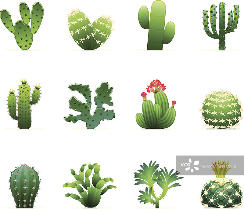 仙人掌图标组图片素材