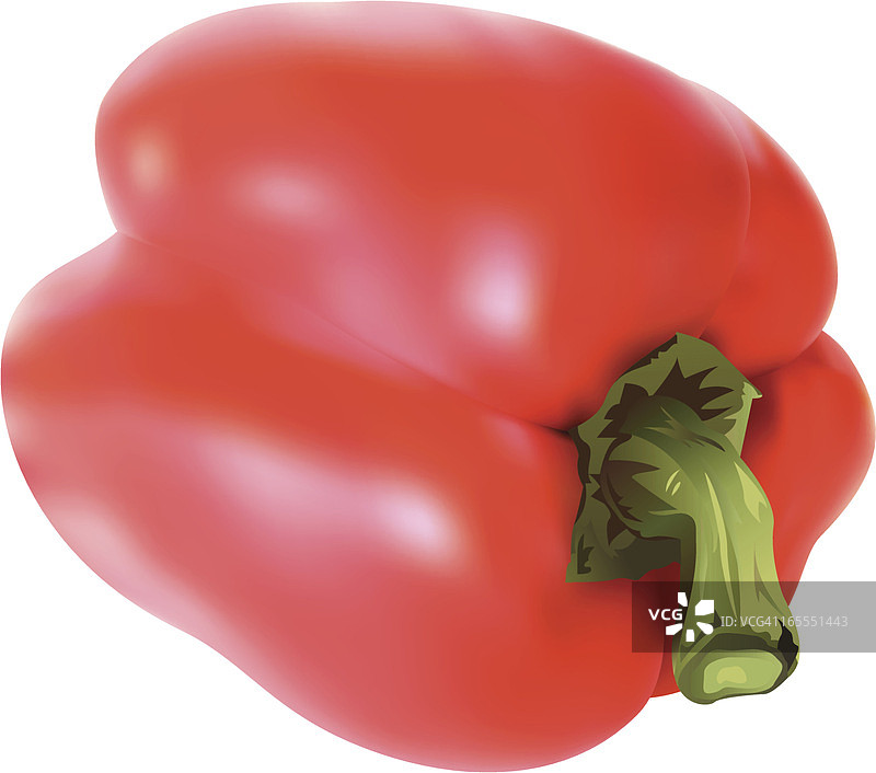 红甜椒插画图片素材