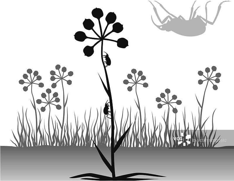 植物与甲虫剪影图片素材