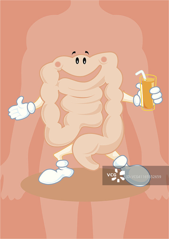 健康的肠道吉祥物图片素材