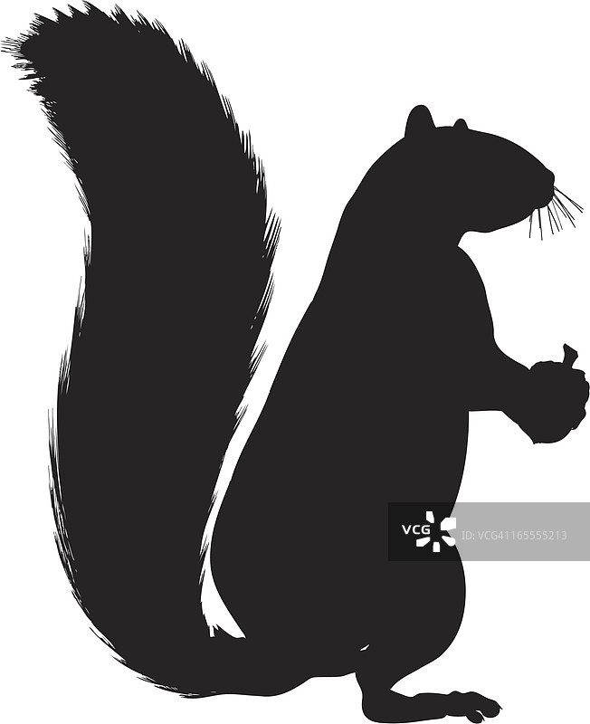 白色背景上的松鼠剪影图片素材