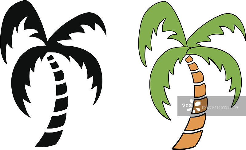 热带棕榈树图片素材