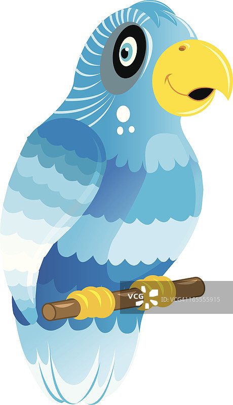 鹦鹉图片素材