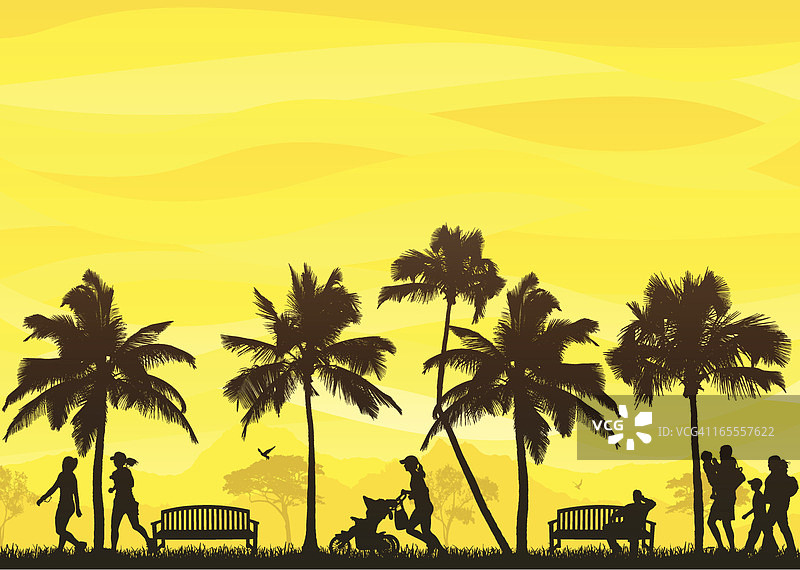 热带漫步图片素材