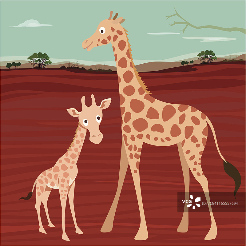 长颈鹿一家图片素材