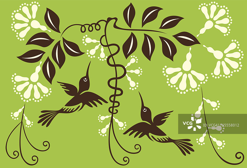 蜂鸟情侣与鲜花图片素材