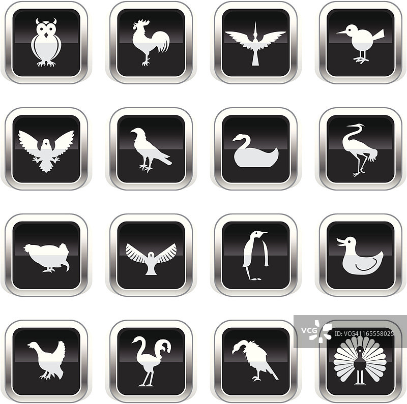 超光泽黑色图标 - 鸟类图片素材