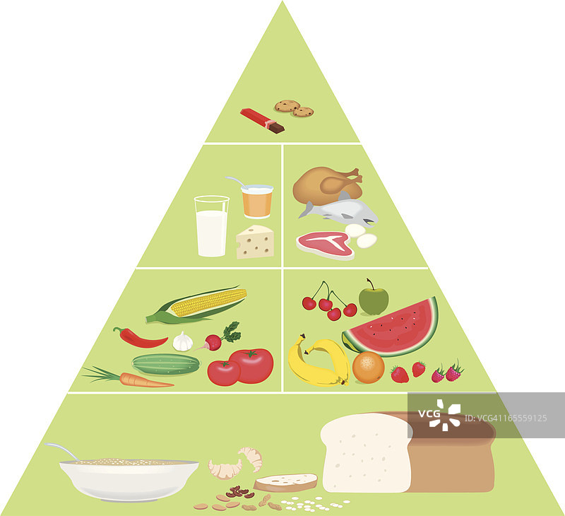 食物金字塔图片素材